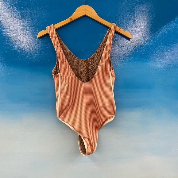 Small acacia - Picture 2 of 3